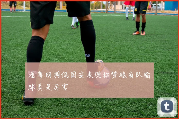 潘粤明调侃国安表现称赞越南队输球真是厉害