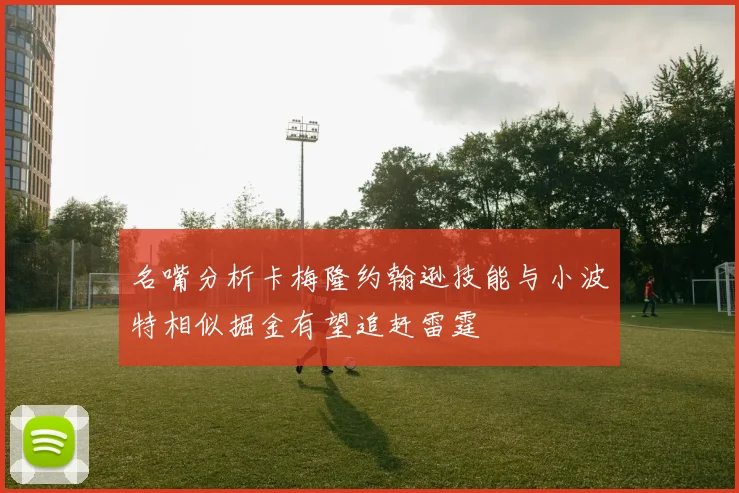 名嘴分析卡梅隆约翰逊技能与小波特相似掘金有望追赶雷霆